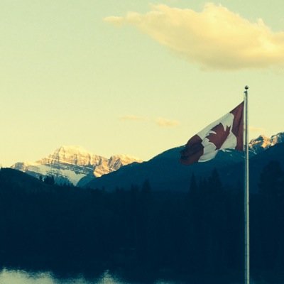 gregglown's profile picture. 