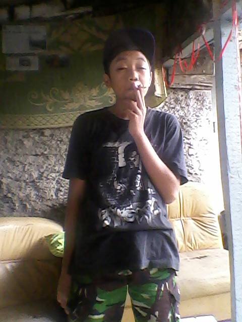 oplosan