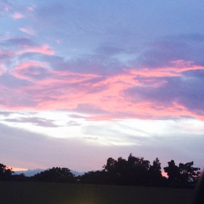 ven1421's profile picture. Lic. en Trabajo Social 
Maestria en Psicogerontología