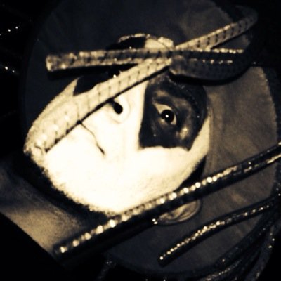 Crazy mothafuckin horrocore rapper from the EAST COAST WHoOp wHoOP