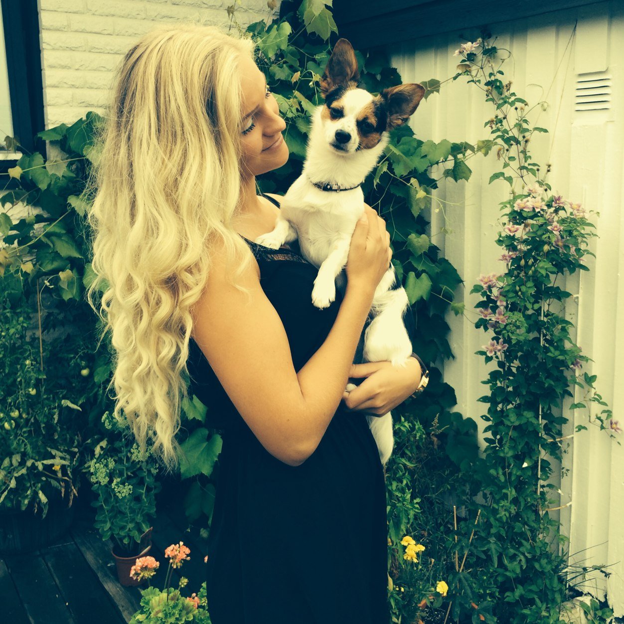 soffieolsson's profile picture. 