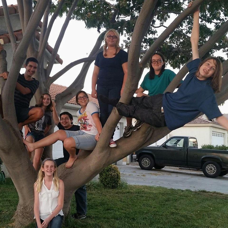 Hello! We are a FIRST tech challenge team from Western Center Academy in Hemet, CA.  We have eight team members from 8th - 10th grade :)