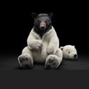 James Mclain - @cooldad209 - Twitter