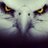 bizimkartal's profile image