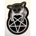 Riley Doyle - @INF_Virus - Twitter