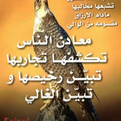 لا تنتظر رد الجمايل والارباح ولاتلتفت في طيبك اللي صنعته