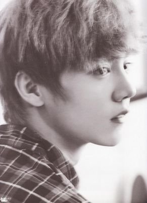 zehanexo's profile picture. 