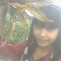 aprilia (@aprilia_pyutri) 's Twitter Profile