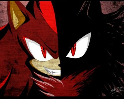 I am the Ultimate lifeform Shadow the Hedgehog...Farewell...Pathetic humans