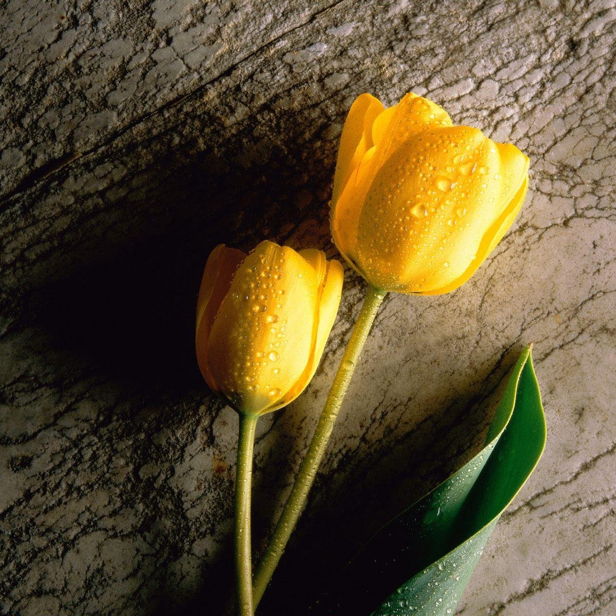 easq126's profile picture. 