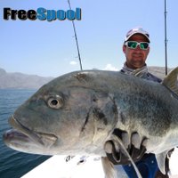 FreeSpool (@freespoolsa) 's Twitter Profile