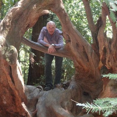 Profile Picture of Noel Michael Walker (@noelwalker1) on Twitter