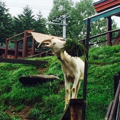匙投げた