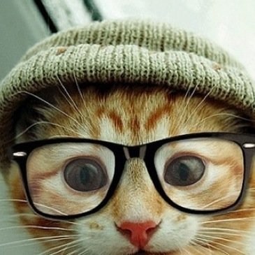 Anna_Artemova's profile picture. 