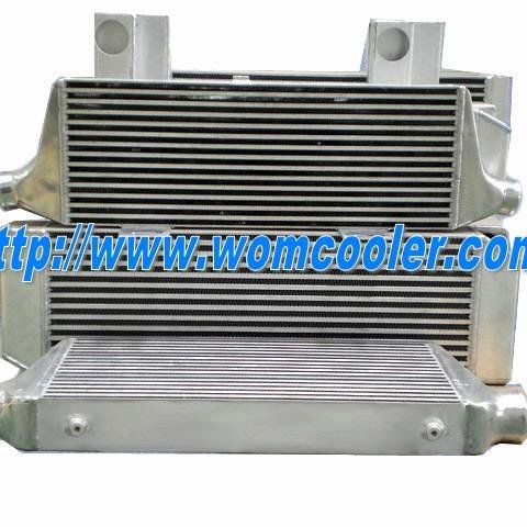 brucewom1's profile picture. 