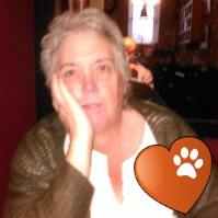 pitman_kim's profile picture. Who am I? Proud wife, mum and grandmother. Trying to walk in the footsteps of Jesus.