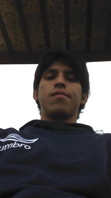 Ingeniero Metalurgista de la Universidad Nacional de Ingeniería.