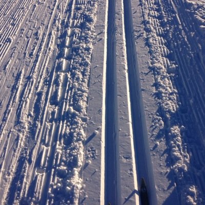 TrondAndreasse3's profile picture. 