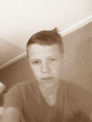 Kamerik
