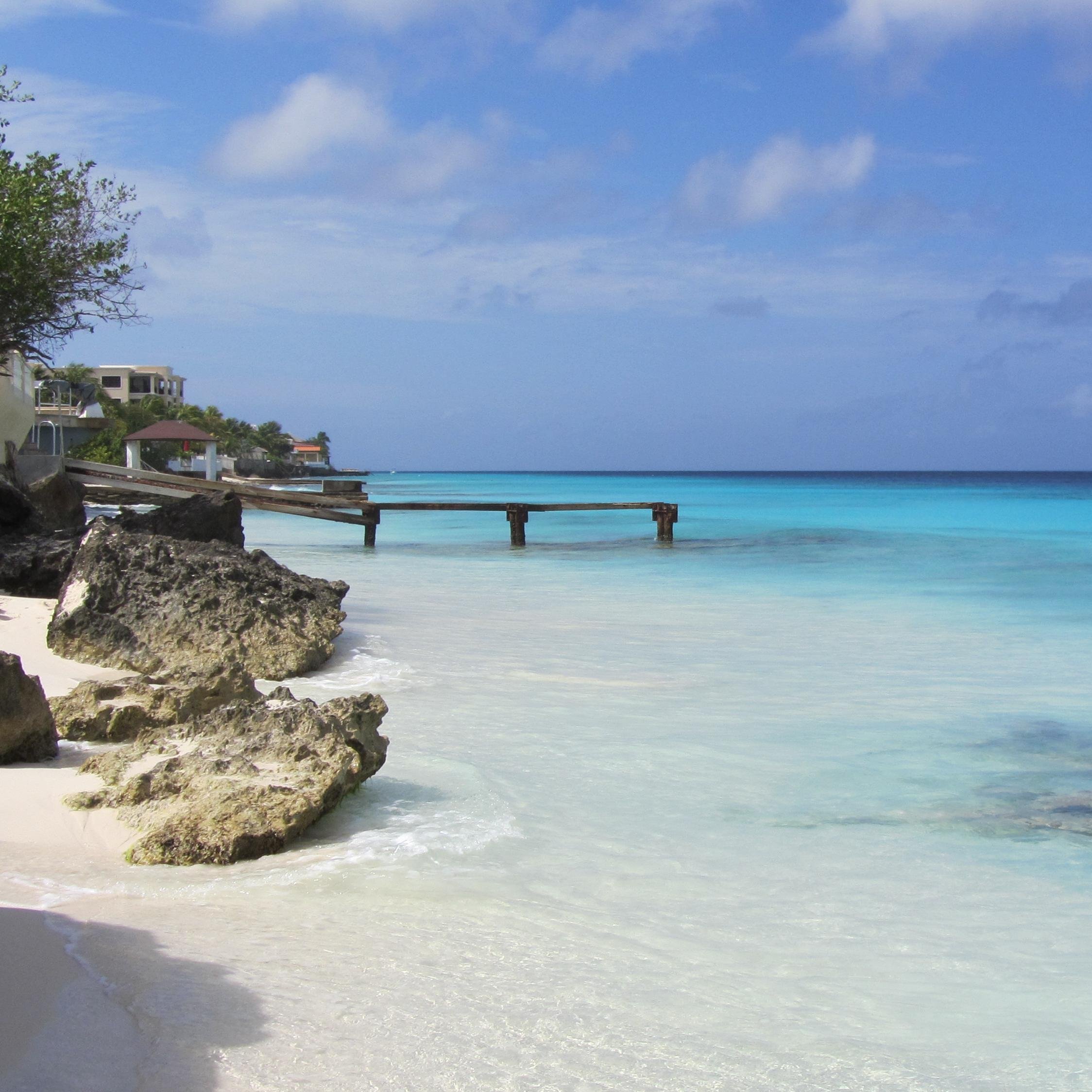 tweetmelissaa's profile picture. nothing