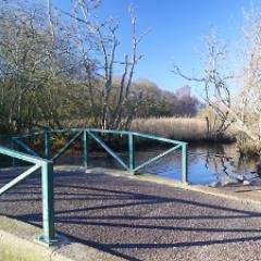 ROWNERCOMMUNITY's profile picture. Rowner Community Trust creating a community where people want to live.