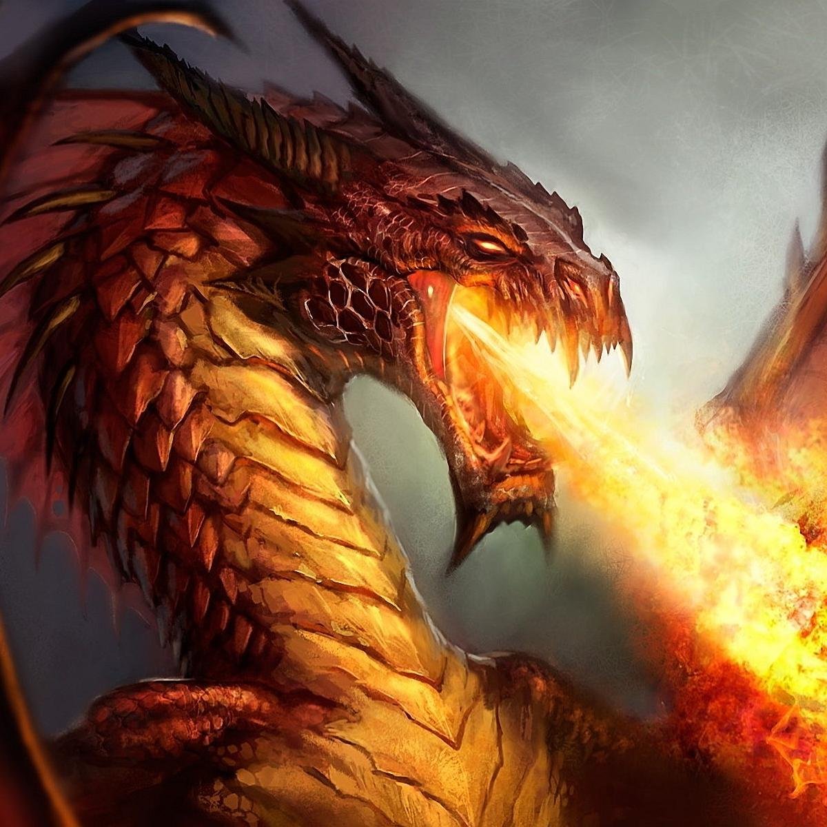 WoHenKiang's profile picture. 