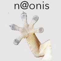 n@onis (@naonisosint) 's Twitter Profile