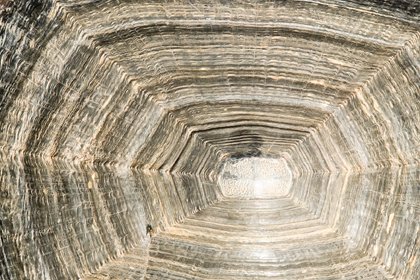 GonzaloFotograf's profile picture. ich zitiere nur…  „selbst dann, wenn man eine rosarote brille aufsetzt, werden eisbären nicht zu himbeeren.“(franz josef strauss)