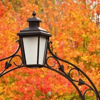 InsideWFU (@insidewfu) 's Twitter Profile Photo InsideWFU (@insidewfu) 's Twitter Profile Photo