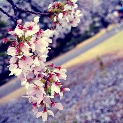 風景写真メインの投稿です。モデル撮影の依頼はお受けすることが出来ません。