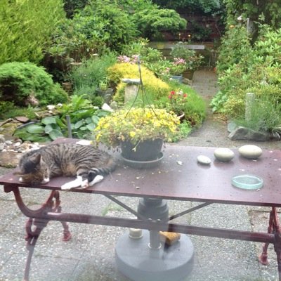 Maschhaupt1Irma's profile picture. 