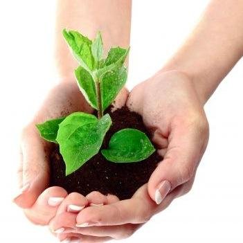 All information about anything to do with farming
Free & Premium E-Books
Farming Podcasts