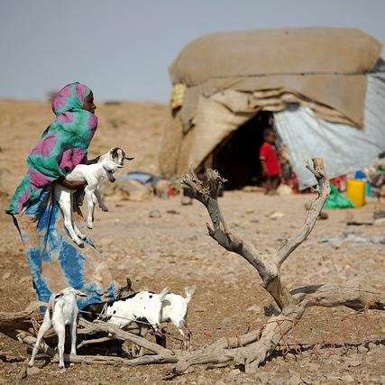 HPC_Pastoralism's profile picture. Sustainable Pastoralism Development