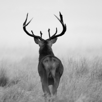 baksslife's profile picture. people change. memories don't.