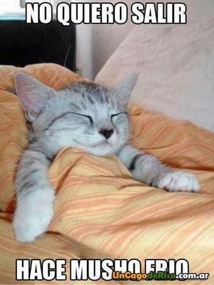 skorpio08cm's profile picture. secundaria 62
prepa 6