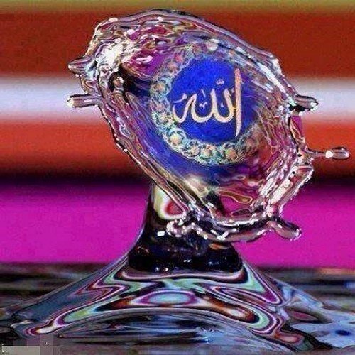 haque_akhtarul's profile picture. 