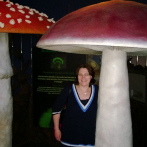 sarahefall's profile picture. With Neil McCann we run The Pound Inn, Leebotwood.