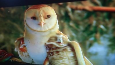 rkrnnen_isitel's profile picture. 次のアカウント⇒@jojo21861