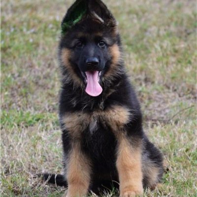 RobDrapers's profile picture. Geriatric technophobe, with a zest for healthy living