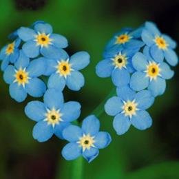 NCSgroup9's profile picture. We are part of the NCS Group 9 and we are trying to raise awareness of Dementia and by following us or giving us a like on our Facebook page you will be helping