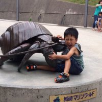 スズキのあだち (@suzukino_adachi) Twitter profile photo