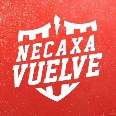 NecaxaVuelve's profile picture. 