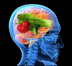 Infinite Brain Power is dedicated to providing the best memory improvement tips from eating, sleeping, reading, and gaming
