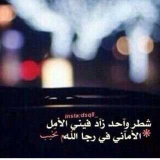 ‏جديد الشيلات ☆☆
