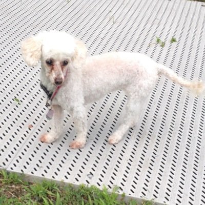 mariaaricapito's profile picture. Account holder.