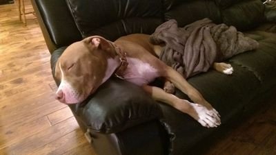 aaronfuel's profile picture. 