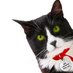 Simon the Cat (@heroicanimals) Twitter profile photo Simon the Cat (@heroicanimals) Twitter profile photo
