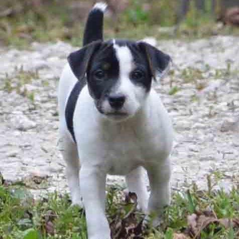 carp5500's profile picture. The rare daytrader/fencing coach combo