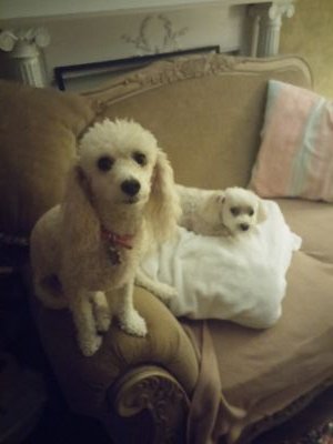 Duckette61's profile picture. Big and sexy :-*