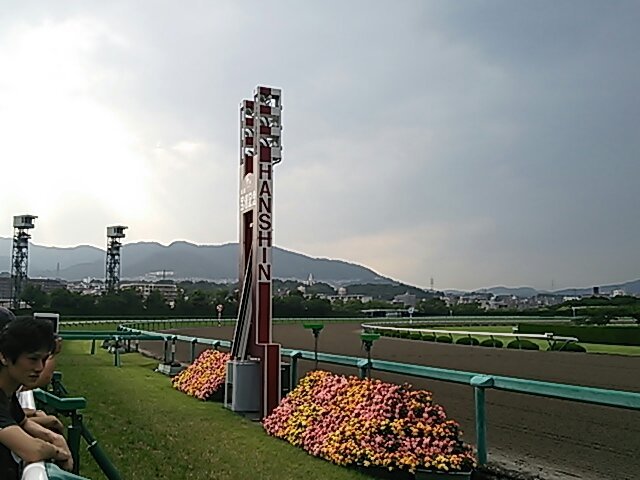 競馬が好きな社会人１年目♪たまに、予想を載せていくのでよろしく。たまに馬主席。